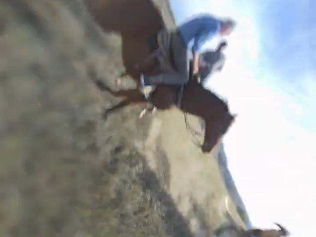 Medora Riding Stables-Medora必去景点