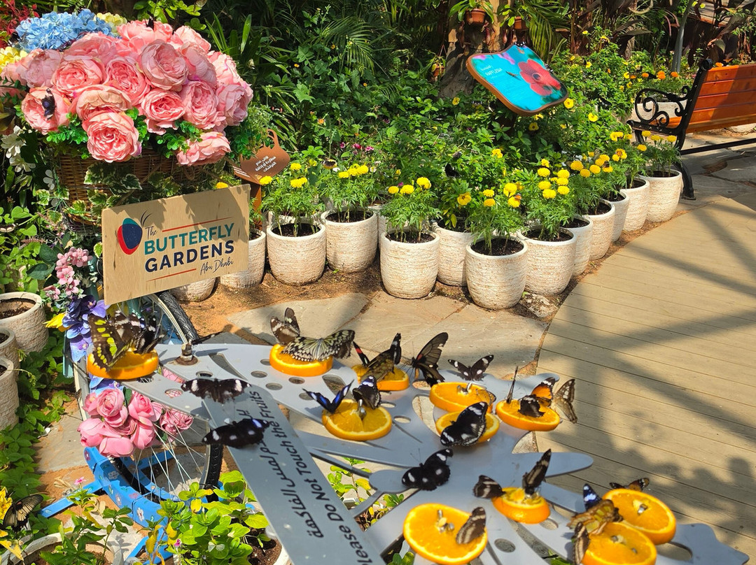 The Butterfly Gardens Abu Dhabi-阿布扎比必去景点