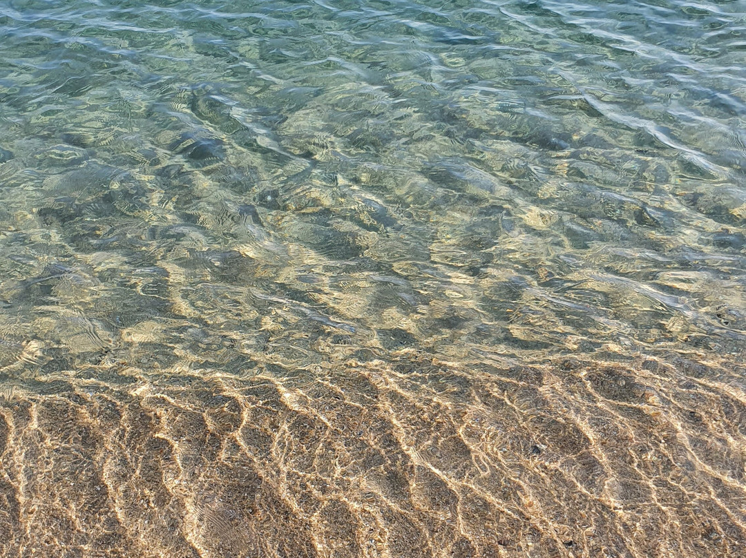 Spiaggia di Cavoli-Marina di Campo必去景点