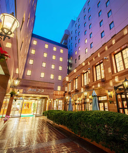 盛冈爱斯酒店酒店图片
