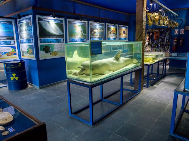 Ubatuba Aquarium-乌巴图巴必去景点