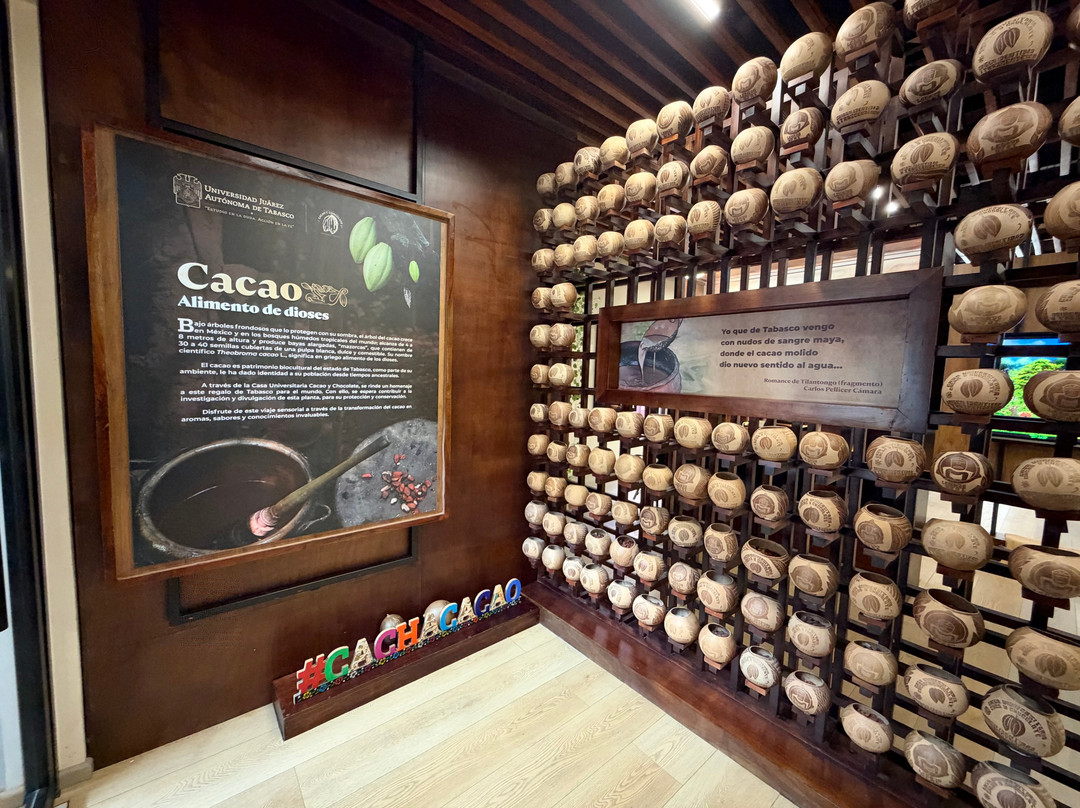 Casa Universitaria Cacao y Chocolate