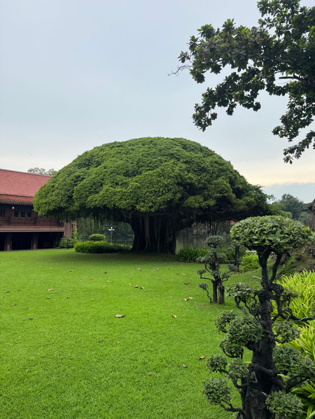 RXV Wellness Village-度假村/酒店