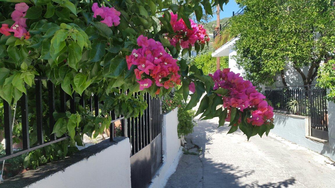 Hotel Katia-客卧