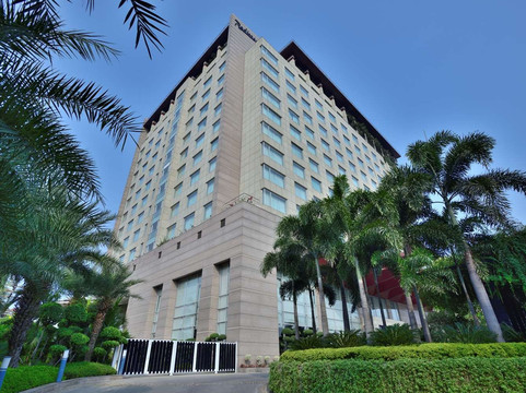 印多尔丽笙酒店主图