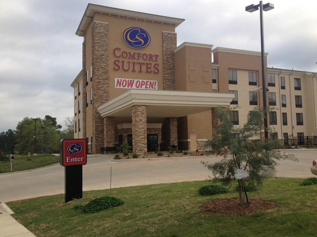 Ashdown酒店住宿-Comfort Suites Texarkana Arkansas