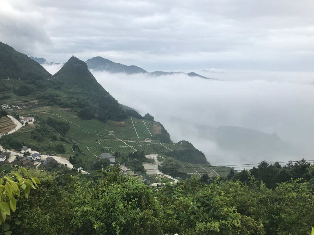 道真仡佬族苗族自治县旅游攻略图片