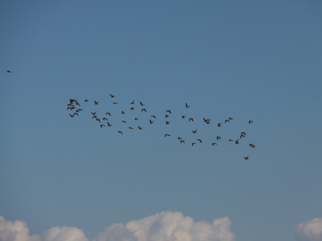 呼伦贝尔市旅游景点-海拉尔国家森林公园