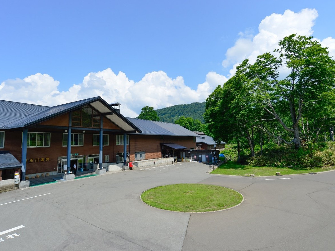 仙北市酒店住宿-Shintamagawa Onsen