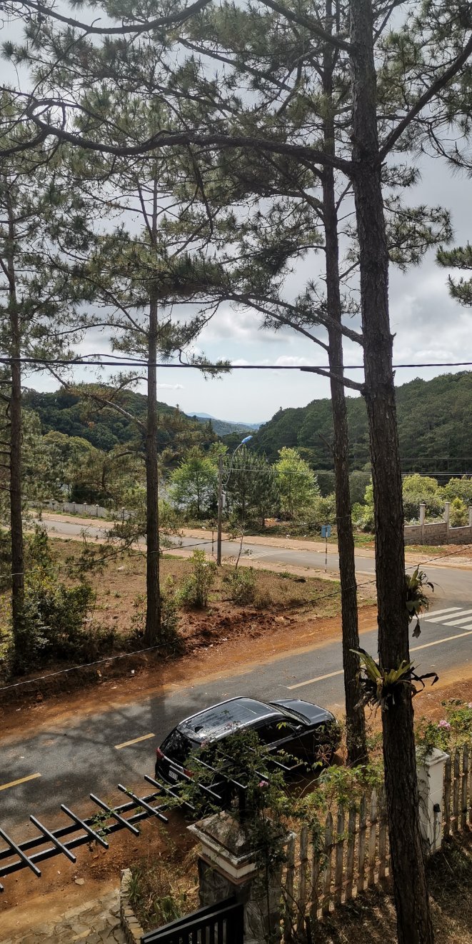 Toki Mang Den-官方