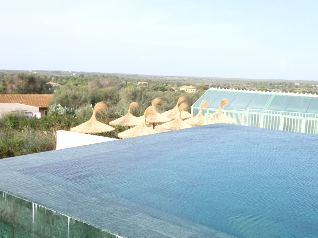 Ses Salines酒店住宿-Es Turo Finca Hotel Rural