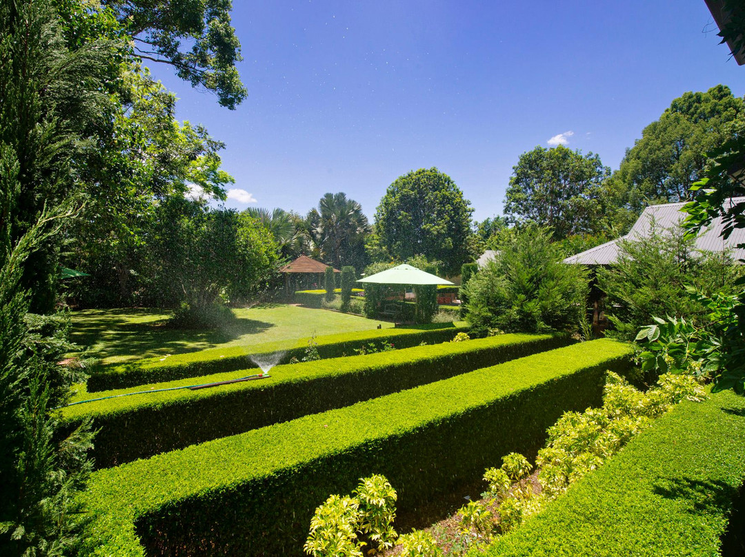 阿鲁姆巴小别墅