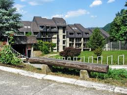 Hotel Lepenski Vir