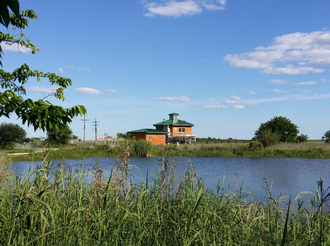 Anahuac旅游景点-Jocelyn Nungaray National Wildlife Refuge