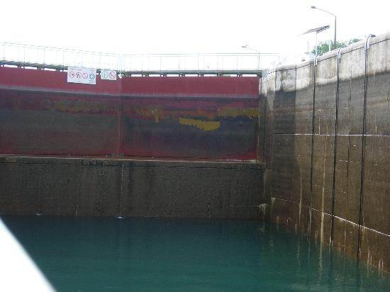 Original Soo Locks Boat Tours景点图片
