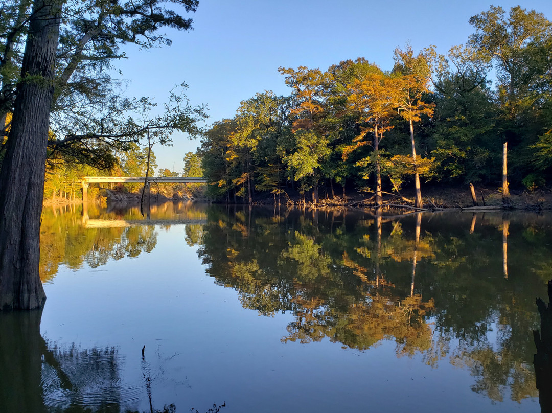 Moro Bay State Park景点图片