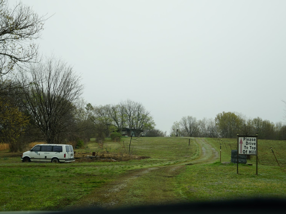 Hoepfner's Kiwi Farm