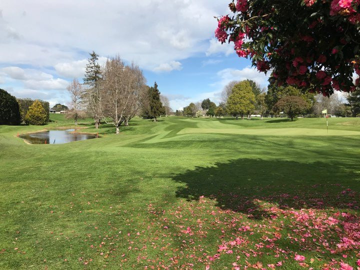 Te Puke Golf Club景点图片