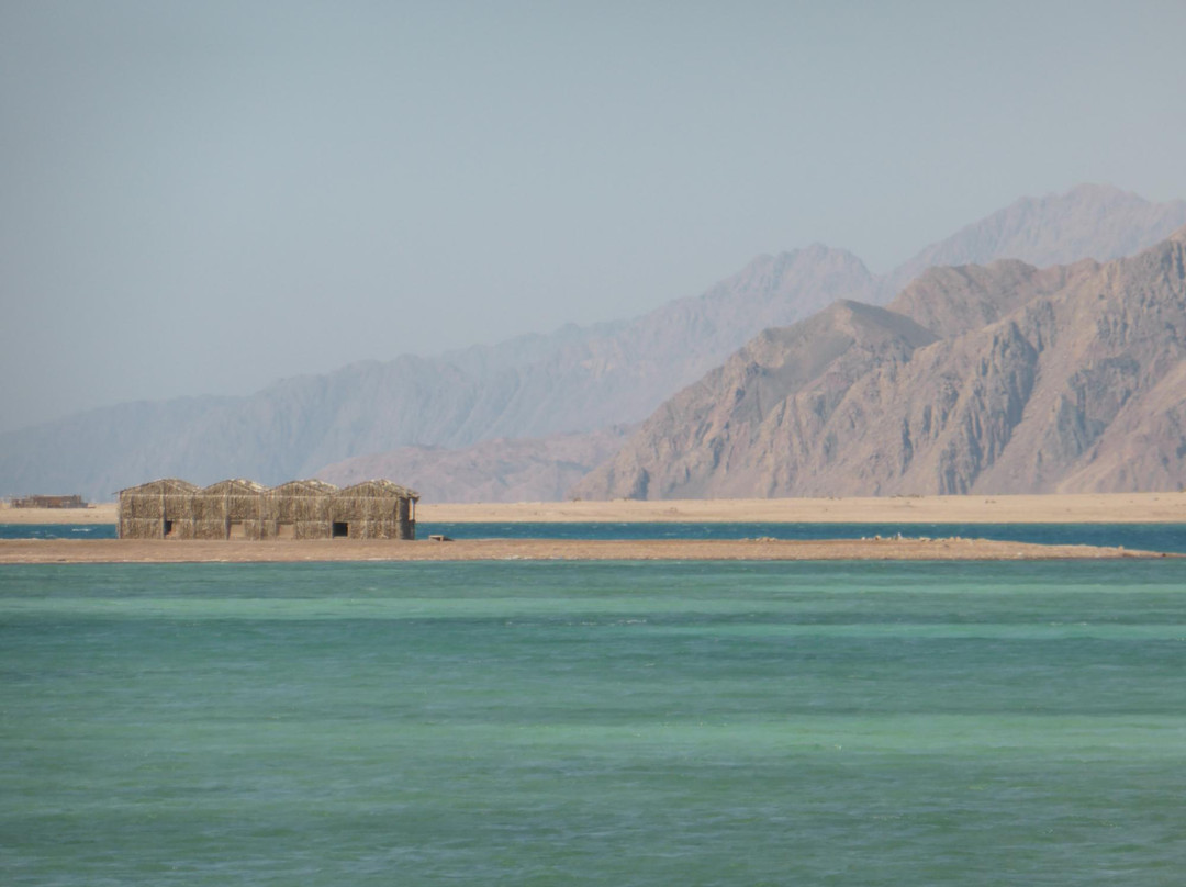 Desert Divers Dahab-达哈卜必去景点