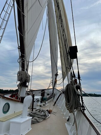Yorktown Sailing Charters景点图片