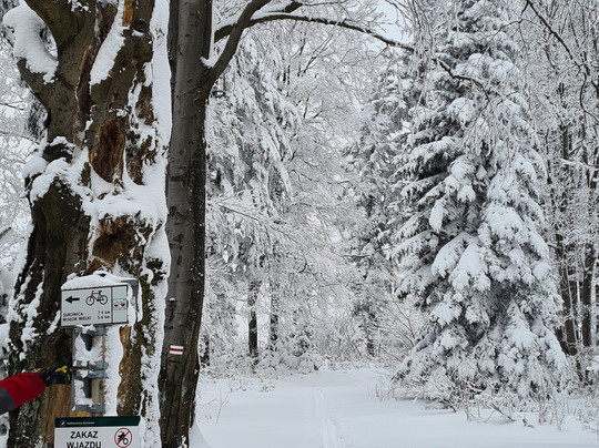 Skutery śnieżne Wola Piotrowa Małopolska