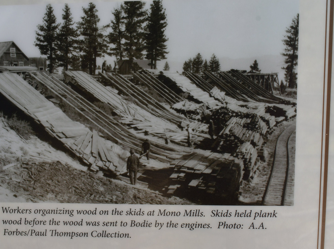 Mono Mills Historic Sit-利韦宁必去景点