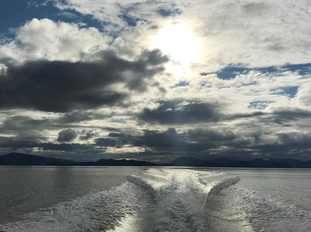 All In Charters-Wrangell必去景点