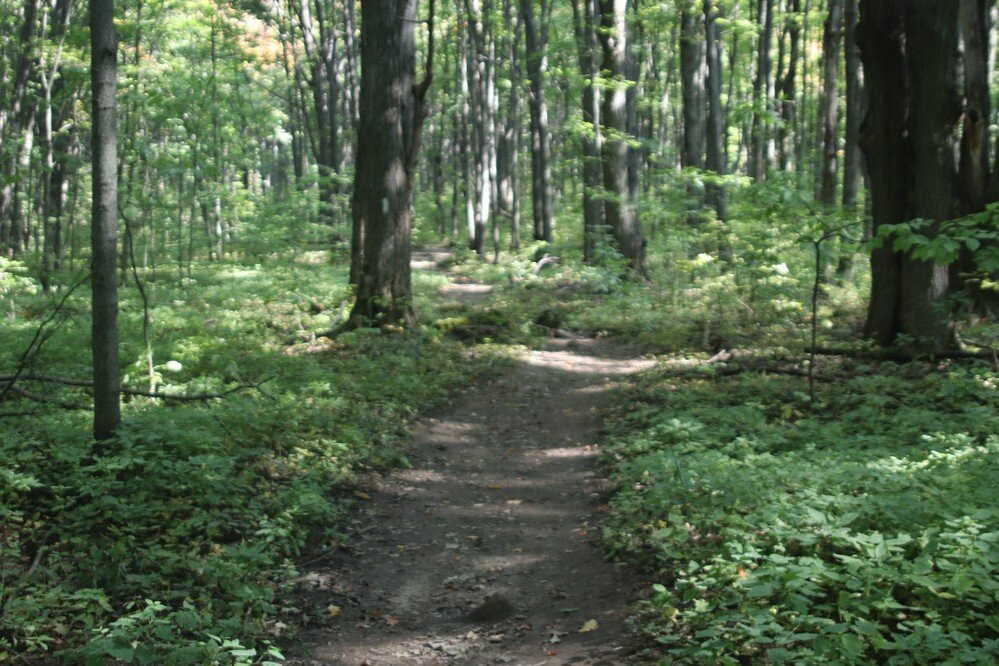 Nottawasaga Lookout Provincial Nature Reserve景点图片