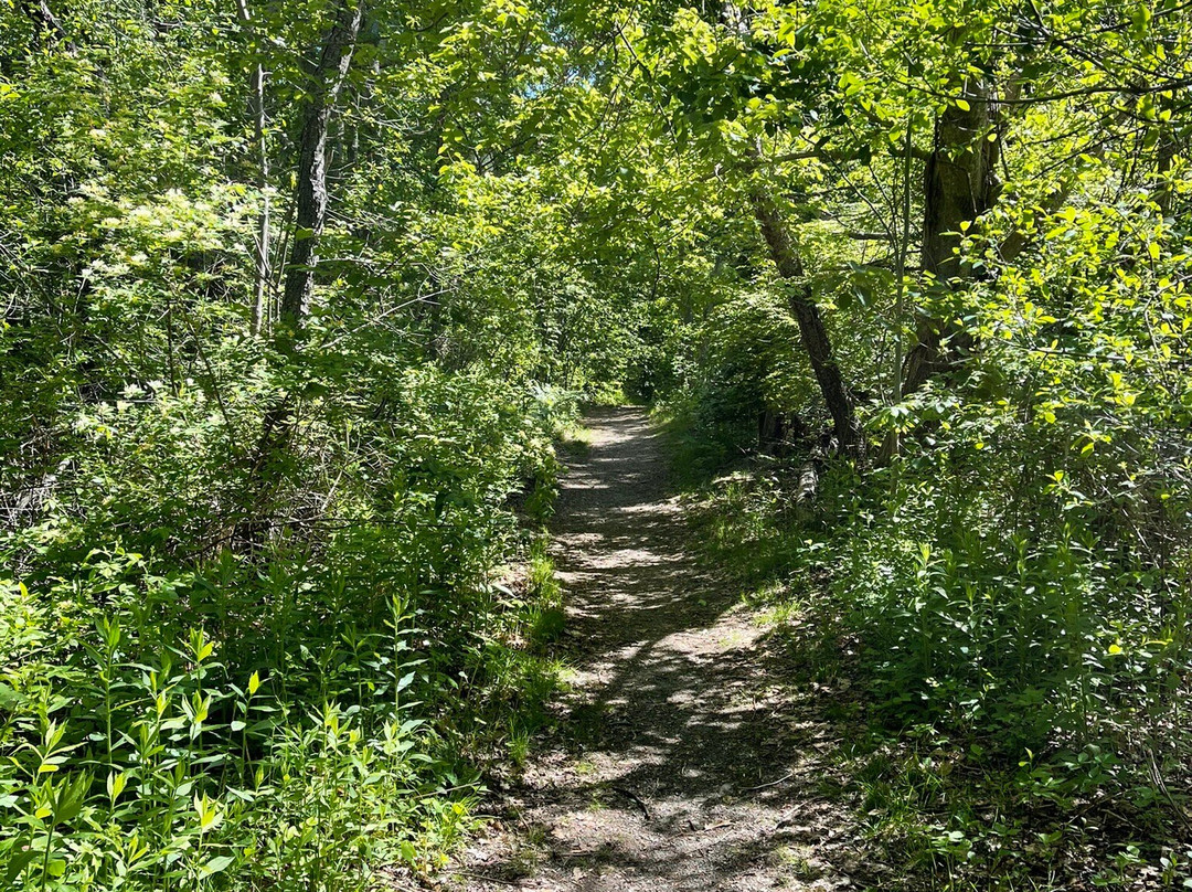 Marblehead Neck Wildlife Sanctuary景点图片