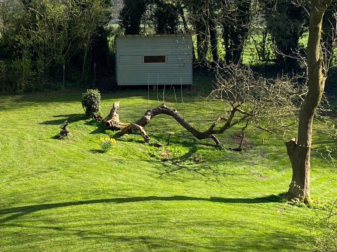 Whittington Meadows景点图片