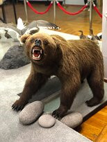 Magadan Regional Museum of Local Lore-Magadan必去景点
