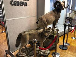 Magadan Regional Museum of Local Lore-Magadan必去景点