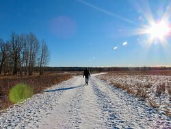 省立鱼溪公园-卡尔加里必去景点