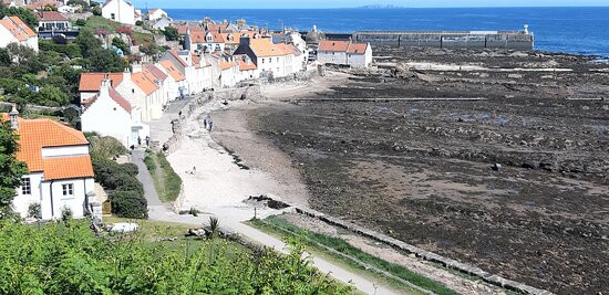 Pittenweem Harbour景点图片
