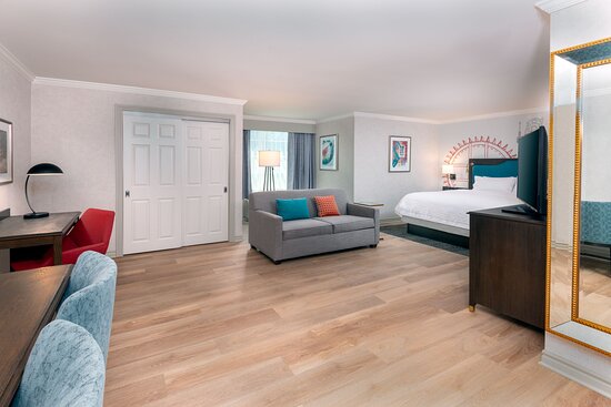 Hampton Inn Buffalo-Williamsville-客卧