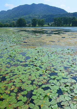 Lago di Santa Maria景点图片