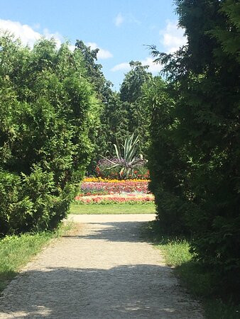 Park Zdrojowy景点图片