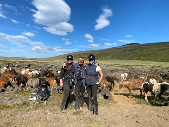 Íslandshestar-塞尔福斯必去景点