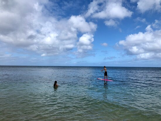 Go Nuts Hawaii-哈雷瓦必去景点