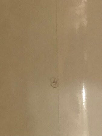 布劳恩费尔斯温盖特温德姆酒店主图