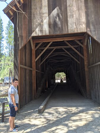 Pioneer Yosemite History Center景点图片