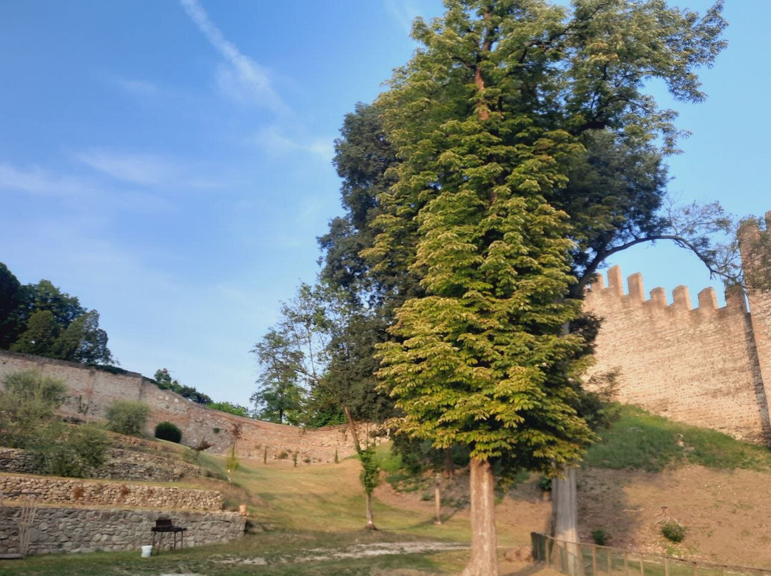 Villa Contarini-Este必去景点