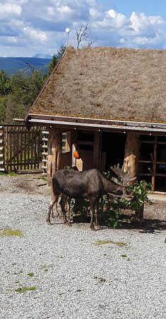 Langedrag Naturpark主图