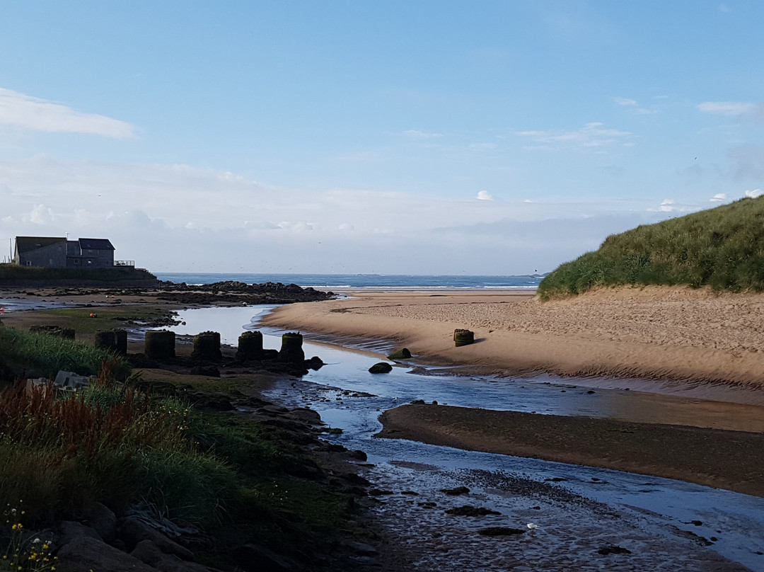 Cruden Bay Beach景点图片