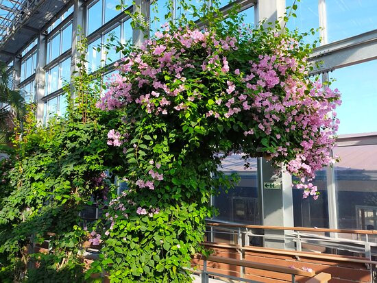 Miyakoh Botanic Garden Aoshima-宫崎市必去景点