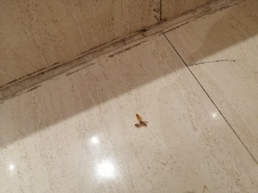 Senses Boutique Hotel主图