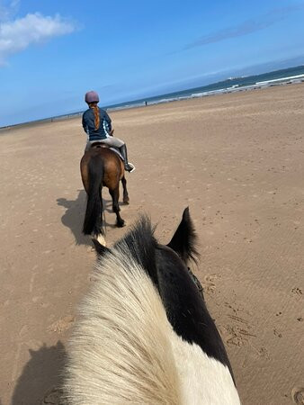 Slate Hall Riding Centre-Seahouses必去景点