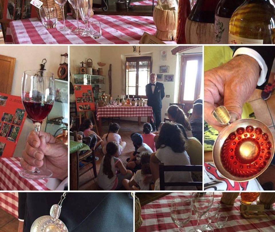 Agriturismo Il Calesse主图