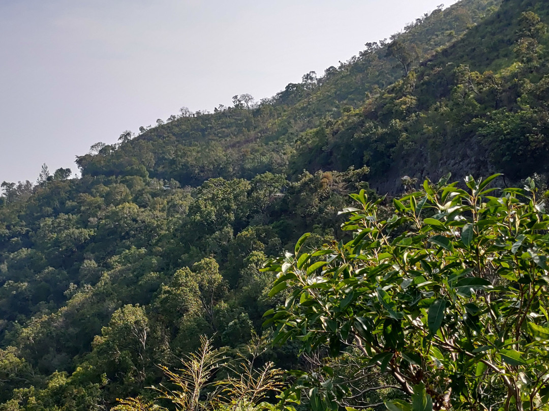 Araku Valley旅游攻略图片