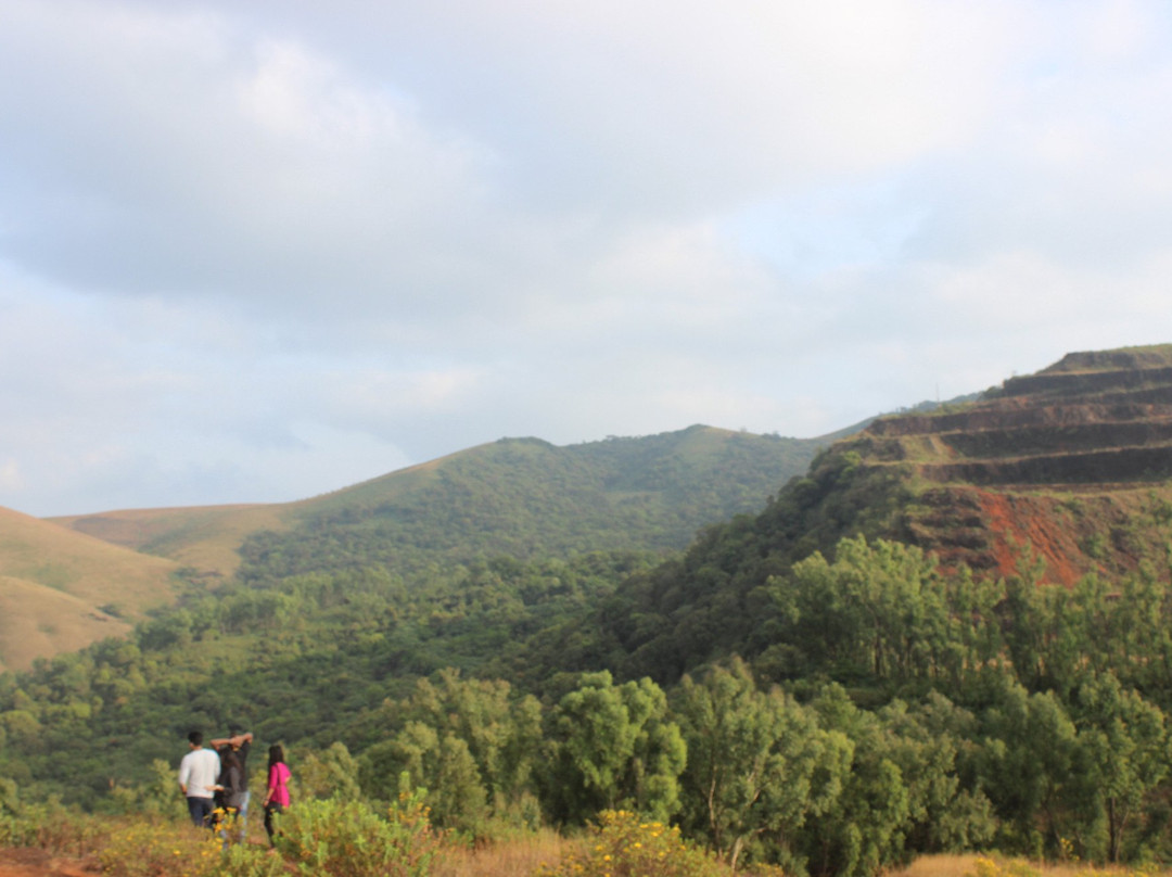 Kemmangundi Peak景点图片